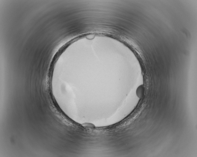 X0000111240928200908131141