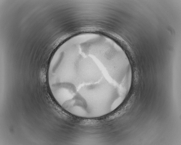 X0000111240929200908131141