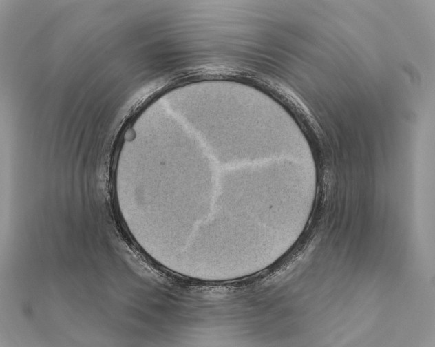 X0000111240930200908131141