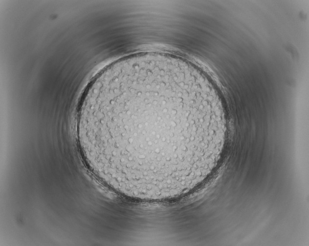 X0000111240931200908131141