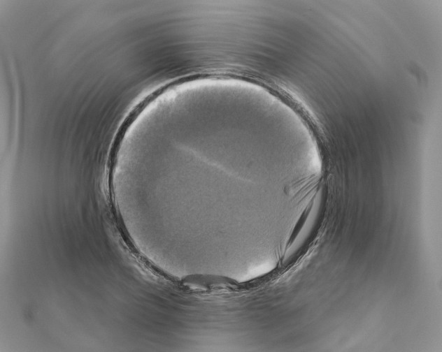 X0000111240932200908131141