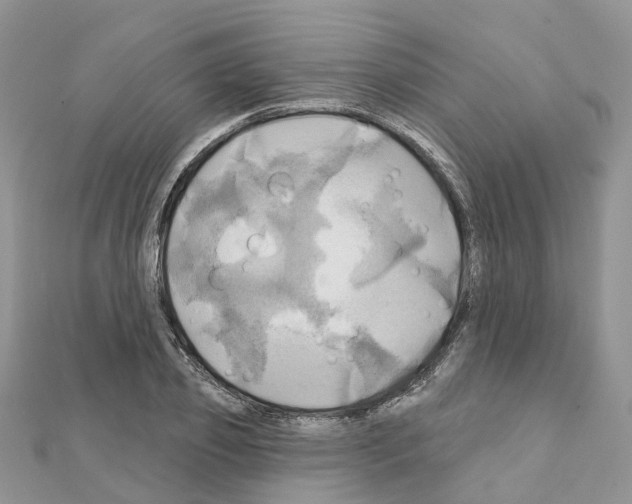 X0000111240933200908131141
