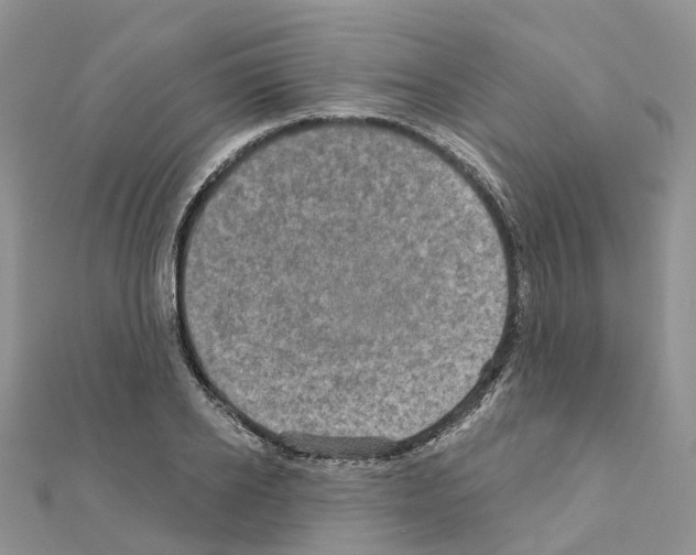 X0000111240934200908131141