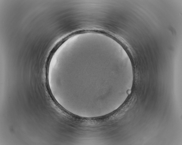X0000111240935200908131141