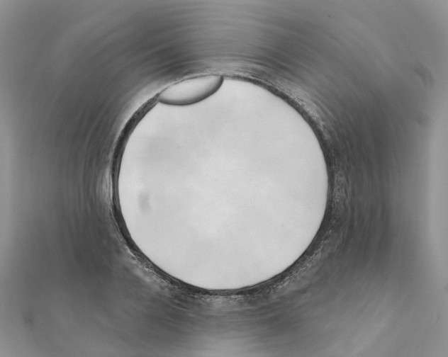 X0000111240936200908131141