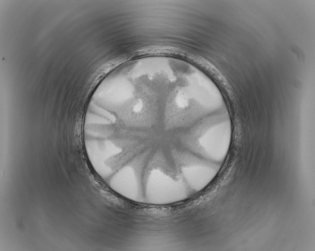 X0000111240937200908131141