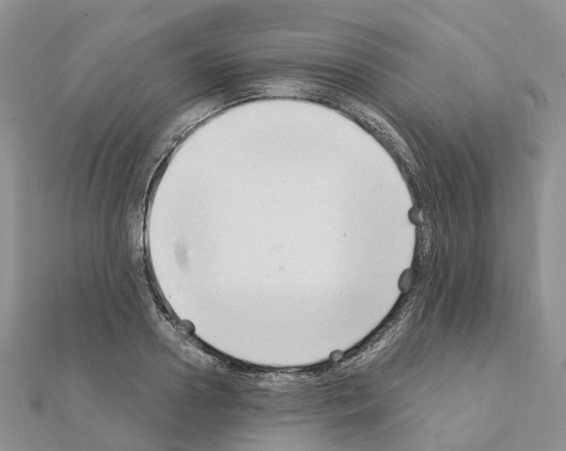 X0000111240938200908131141
