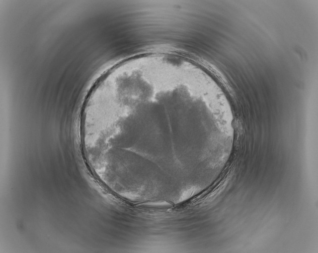 X0000111240939200908131141