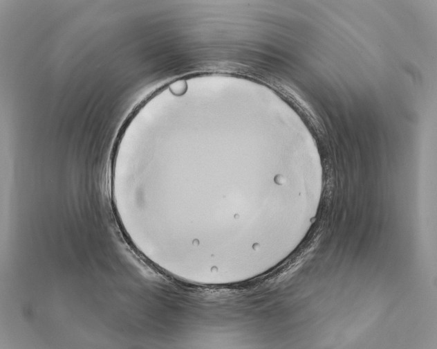 X0000111240940200908131141