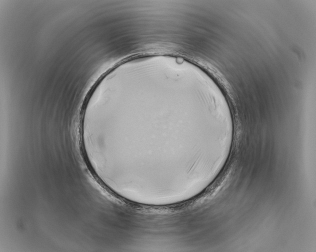 X0000111240941200908131141