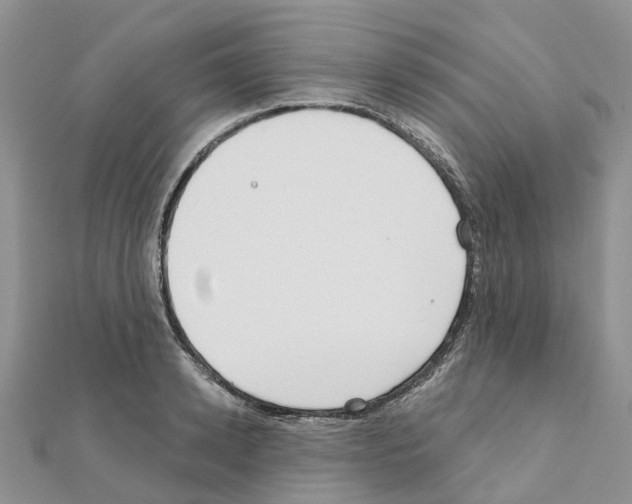X0000111240942200908131141