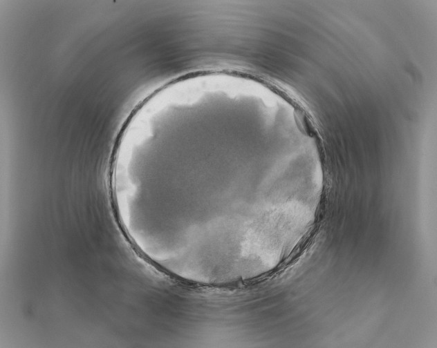 X0000111240943200908131141