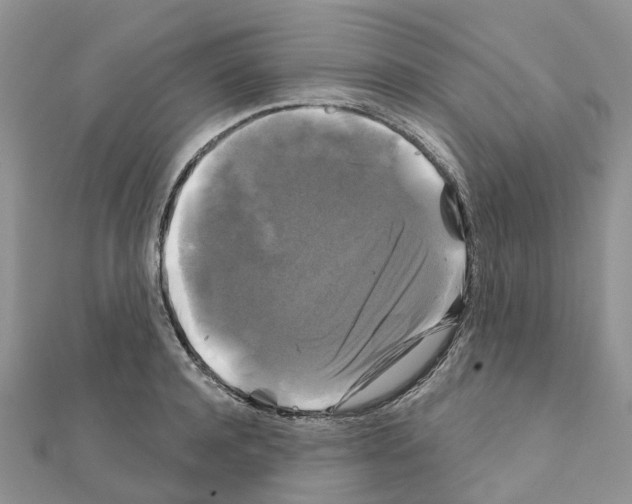 X0000111240944200908131141