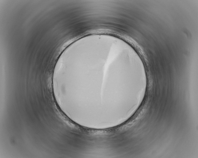X0000111240945200908131141