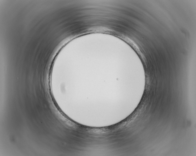X0000111240947200908131141