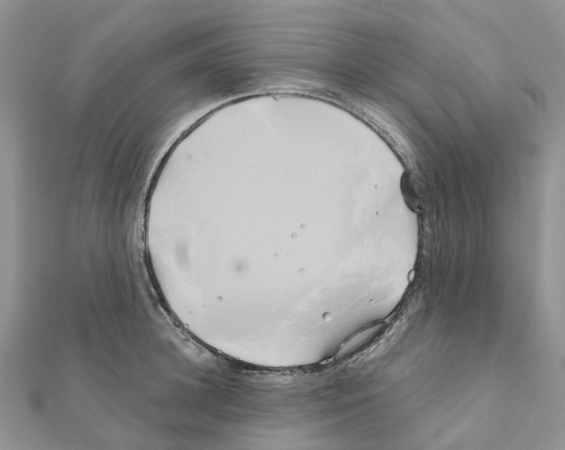 X0000111240948200908131141