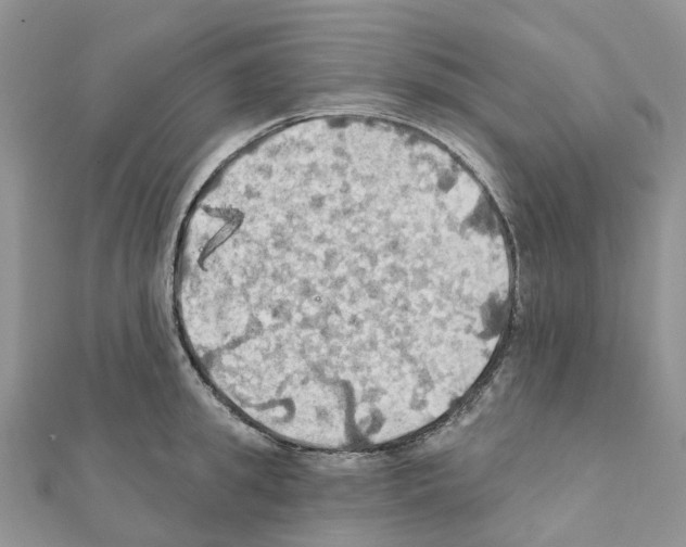 X0000111240949200908131141