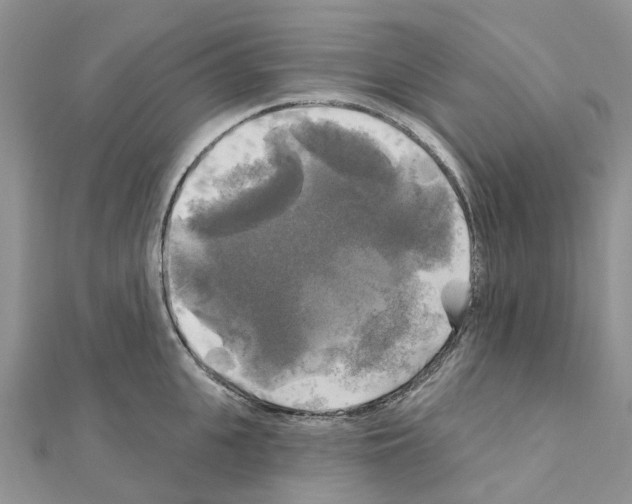 X0000111240951200908131141