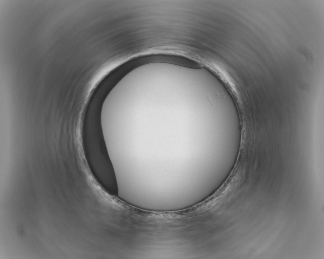 X0000111240952200908131141
