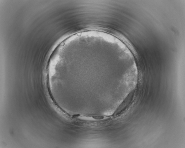 X0000111240955200908131141
