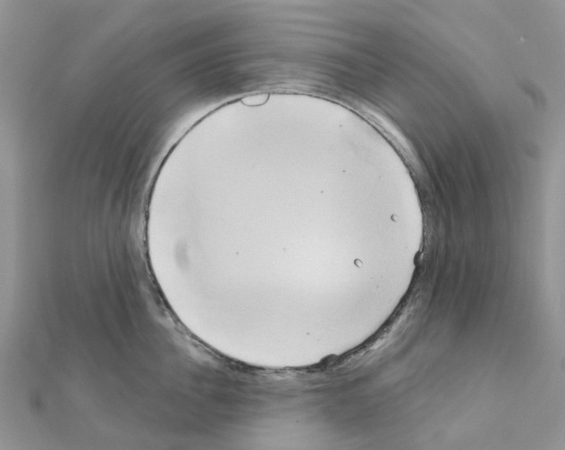 X0000111240956200908131141