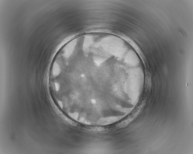 X0000111240957200908131141