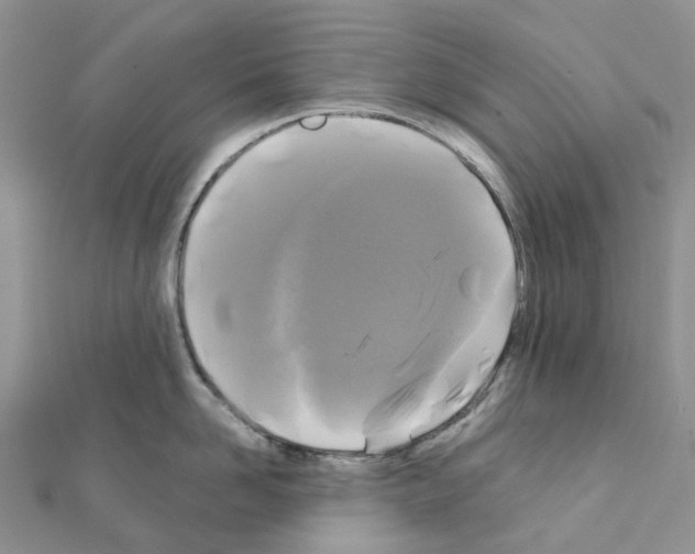 X0000111240958200908131141
