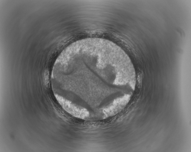 X0000111240963200908131141