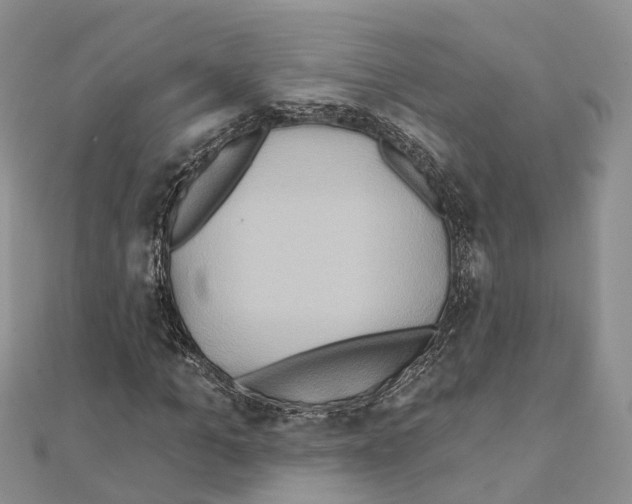 X0000111240965200908131141
