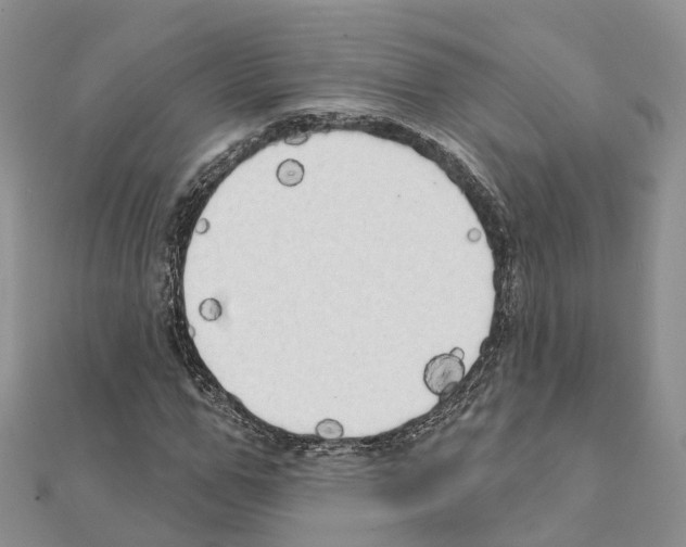X0000111240967200908131141