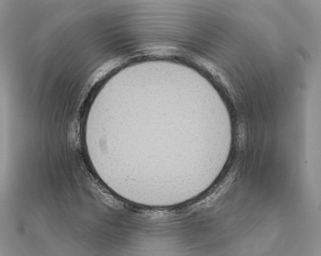 X0000111240970200908131141