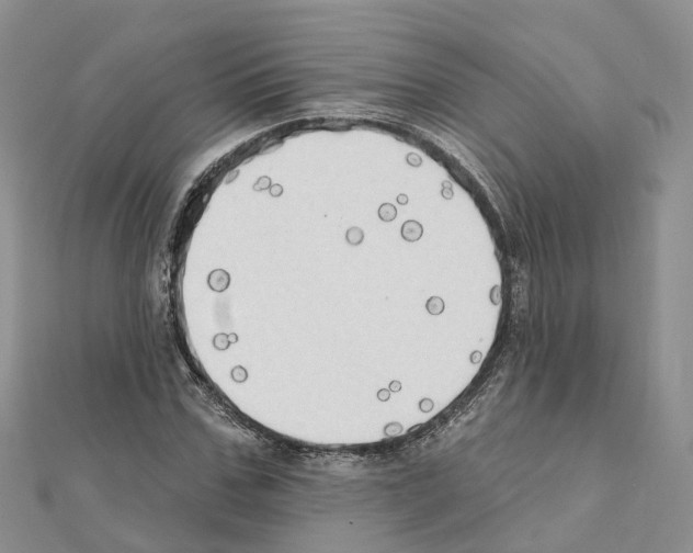 X0000111240971200908131141