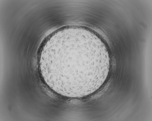 X0000111240974200908131141