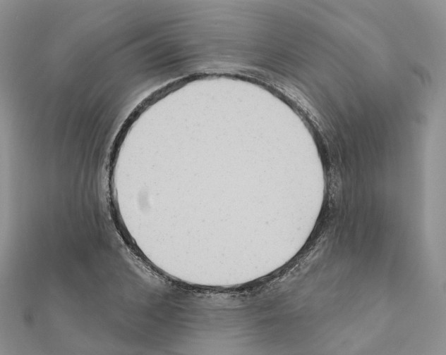 X0000111240976200908131141