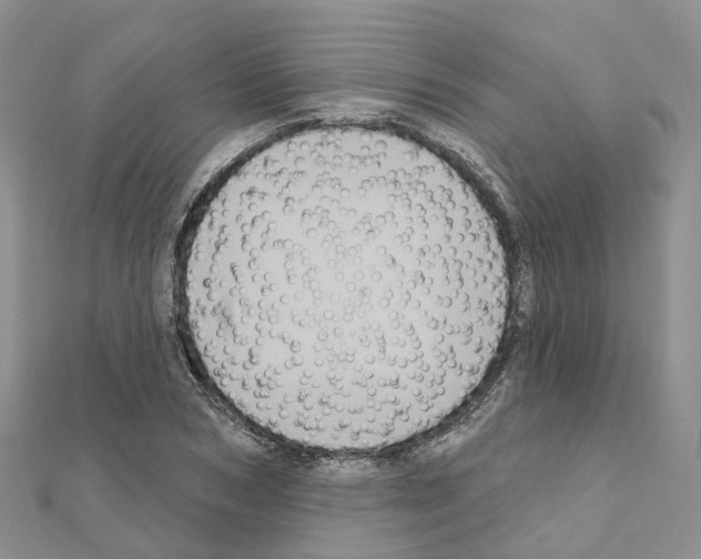 X0000111240978200908131141