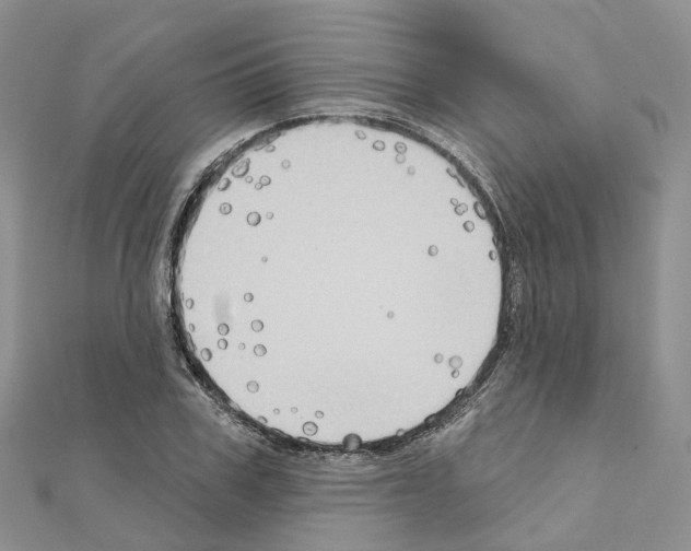 X0000111240979200908131140