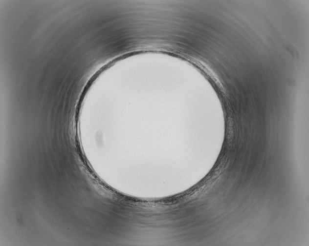 X0000111240980200908131140