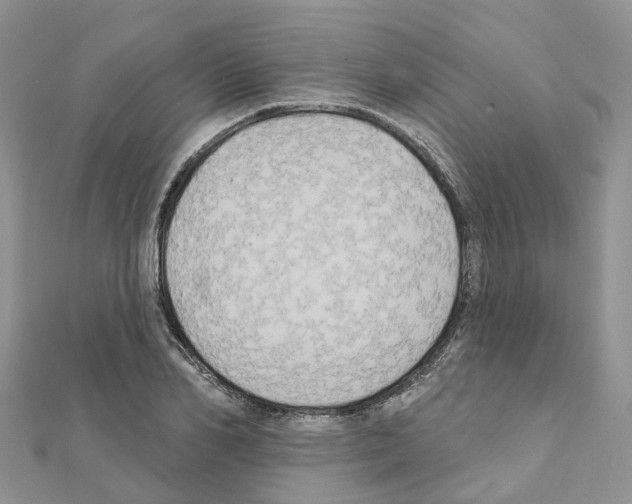 X0000111240982200908131140