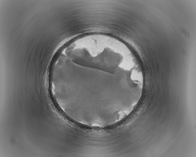 X0000111240983200908131140