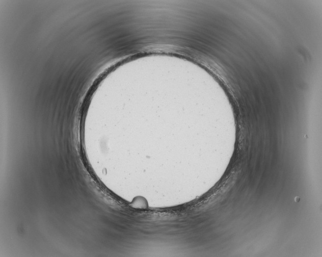 X0000111240984200908131140
