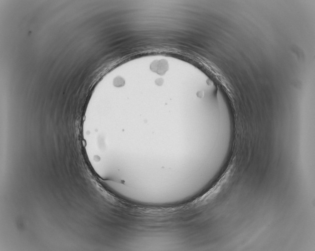 X0000111240985200908131140