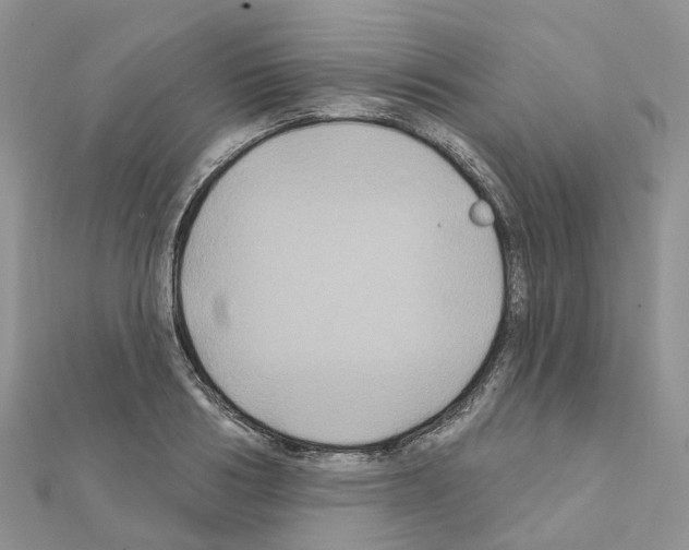 X0000111240986200908131140