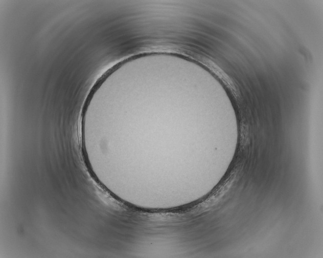 X0000111240988200908131140