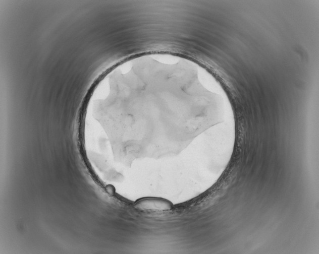 X0000111240991200908131140