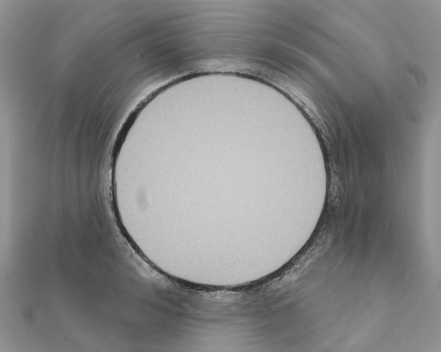 X0000111240992200908131140