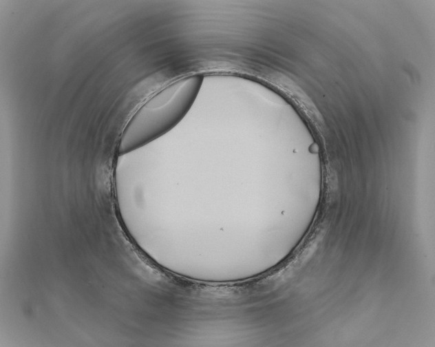 X0000111240993200908131140