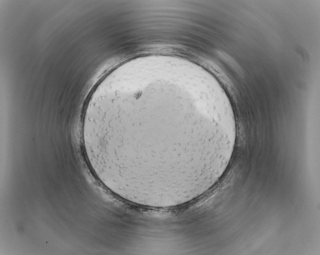 X0000111240994200908131140