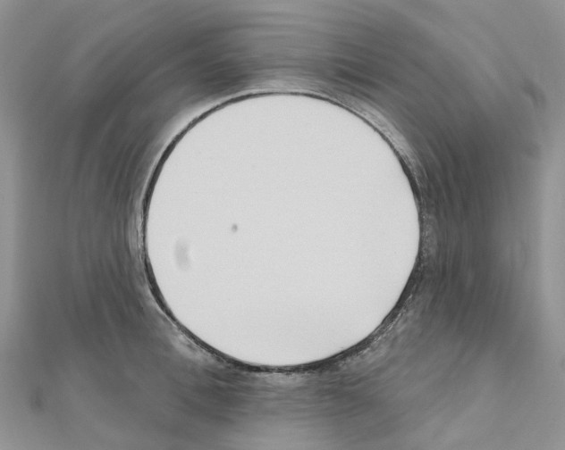 X0000111240996200908131140