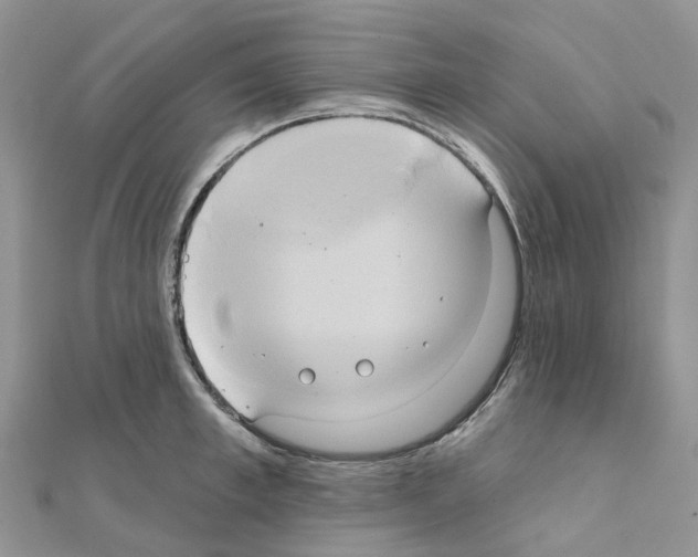 X0000111240997200908131140