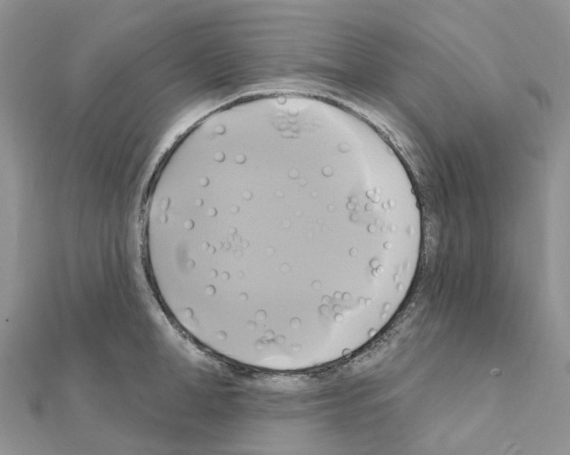 X0000111240998200908131140